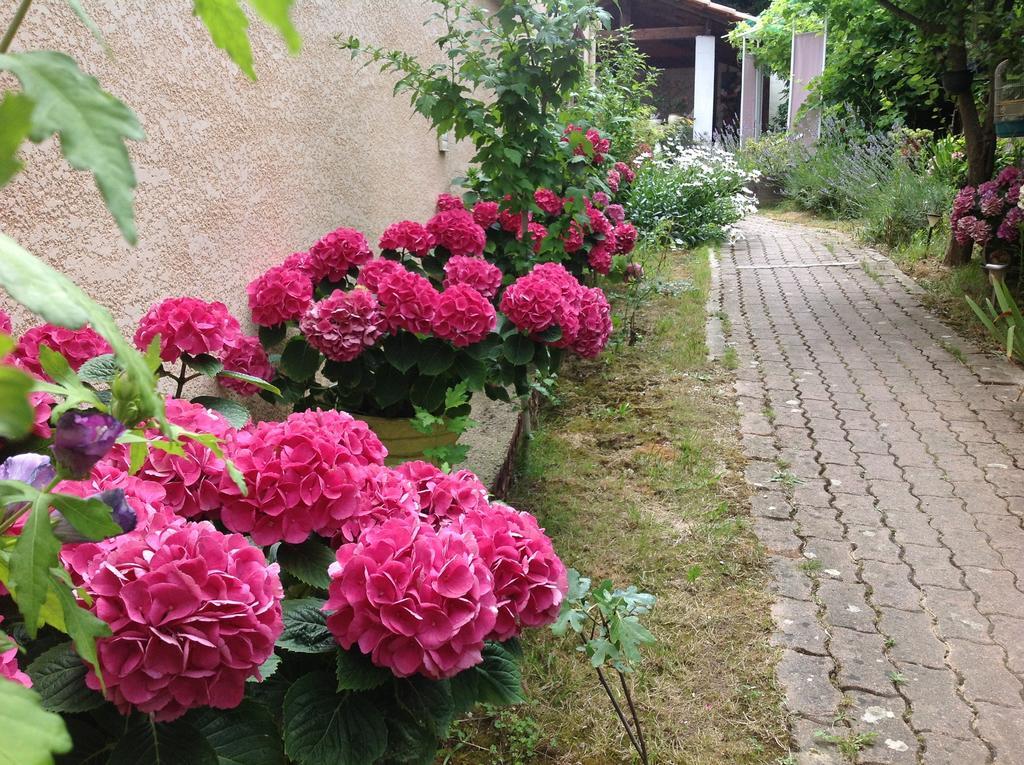 Maison d'hôtes Le Beauséjour Carcassonne Extérieur photo